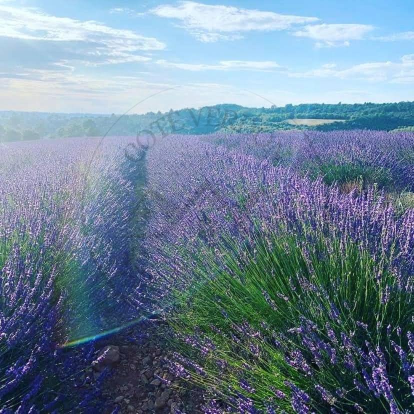 Cote Verdon 1